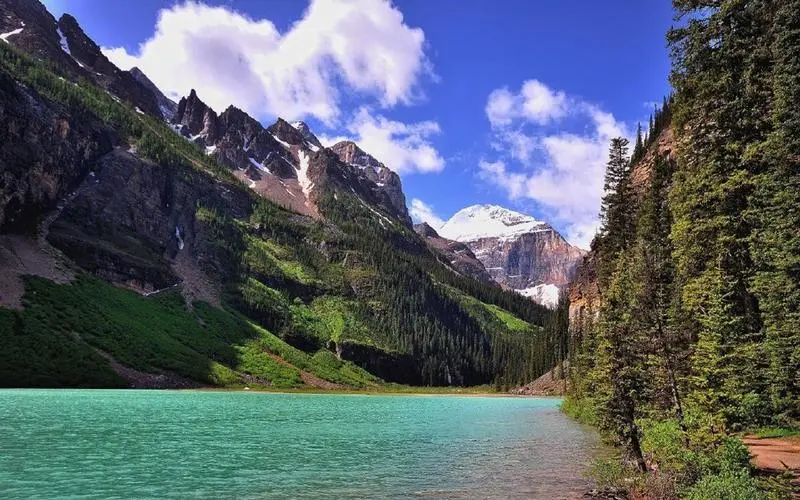 智能系统智能化